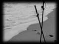 Far Away ~ Sparrabeth *Contest Winner*