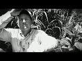 Papa New Guinea