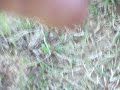 Metal Detecting The Weekend Of 11 07 09 Part One