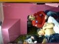 Ciro Mazzacane tatoo ritratto angioletto