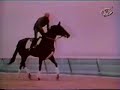 Ruffian (The Great Match)