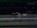 Ruffian (The Great Match)