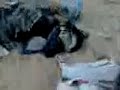 Sinai bedouins brutally murdered by Egyptian police Sinai bedouins brutally murdered by Egyptian police
