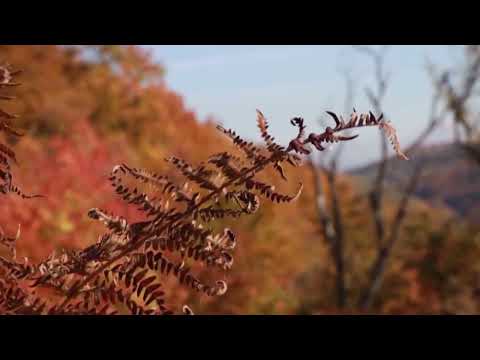 PODRŠKA RAZVOJU RURALNOG TURIZMA