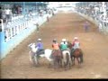 COLEO LOS LLANOS 2007 (3)