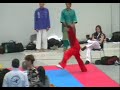 WKA 2007 Germany: forms 3