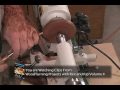 Woodturning Projects vol 2 with Rex and Kip (preview)