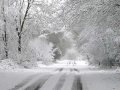 Frank Sinatra Let it snow View Video