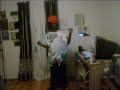 whoop rico / dj rich