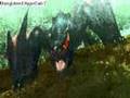 MHP2ndG - Bladed Path Episode V