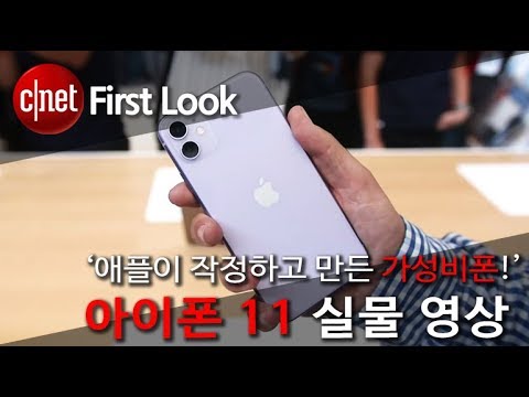 [영상] “착한 가격, 착한 성능?!”  애플 아이폰 11