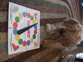twister dog twister dog