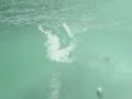 Charpentier sept 2008 SURF