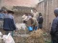 Preparacion de ABONO ORGANICO Bocashi IDMA -PERU