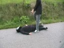 scary-movie-1-matrix-fight.html