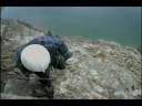 Rock Scaling on the 97 (Okanagan)