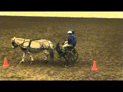 how to drive a horse