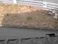 手抜きか!? -Did you cut corners!?-