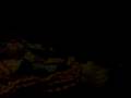 videos de dumb jinx 2