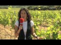 Vinos Palarea, el despertar de los cinco sentidos