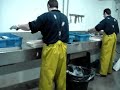 UNIPEIX-LIMPIEZA PESCADO-FISH-POISSON