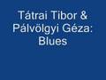 Tátrai Tibor & Pálvölgyi Géza: Blues