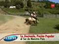 Felipe y la jineteada