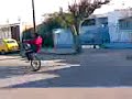 viejo willi viejo willi