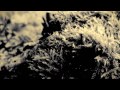 graj Microtrauma - "Pollen Flug"