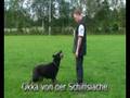 Schutzhund Okka von der Schiffslache Retrieve