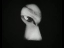 Brain