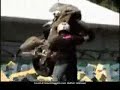 motorbike jump foam pit miss