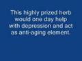 weightlossguide.com: Lift™: Rhodiola Rosea Adaptogen