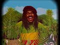 Click here to watch this video DENNIS BROWN - WOLF & LEOPARDS (TROJAN) EXTENDED MIX