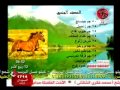 علاج سحرى للضعف الجنسى ضعف الانتصاب سرعة القذف تطويل