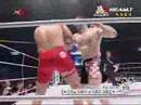 Mirko Filipovic Vs Taysuya Mizuno