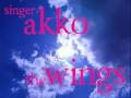 akko - the wings