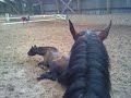 Lin en Lot samen op Guess