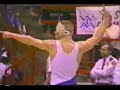Wrestling Champ