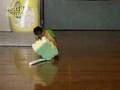 Caique with bunny bounce