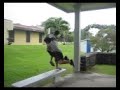 Gooman getting layed out by Kekoa Gooman getting layed out by Kekoa