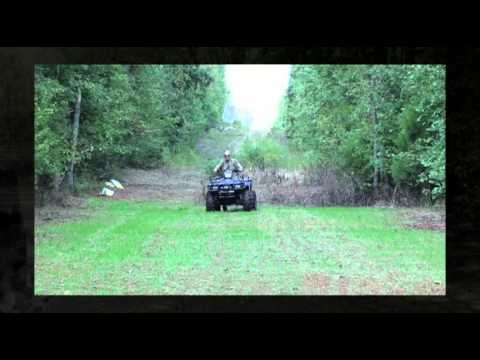 how to fertilize food plots