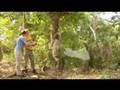Biodiversity - from The Wild Classroom