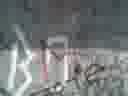 videos de OMG! Novit Angel!