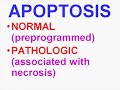Medical School Pathology, Chapter 1d Medical School Pathology, Chapter 1d