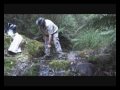 Snake Artist - tiger snake release Snake Artist - tiger snake release