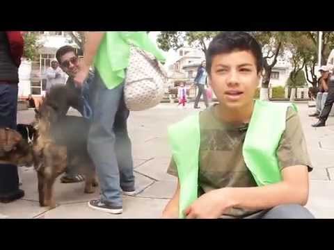 Imagen de previsualización de YouTube