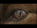 New Moon Trailer #4 TV Spot#1 Event HD