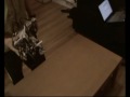 Table Todler for rectancle tables moves over the table without sensors