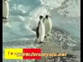 bir penguen bile ne kadar içten pazarlıklı ve sinsi olabilirmiş.duyda inanma derler ya :)